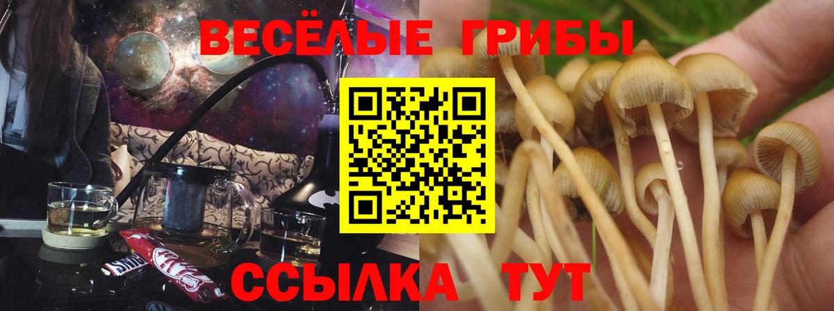 Галлюциногенные грибы ЛСД Феодосия