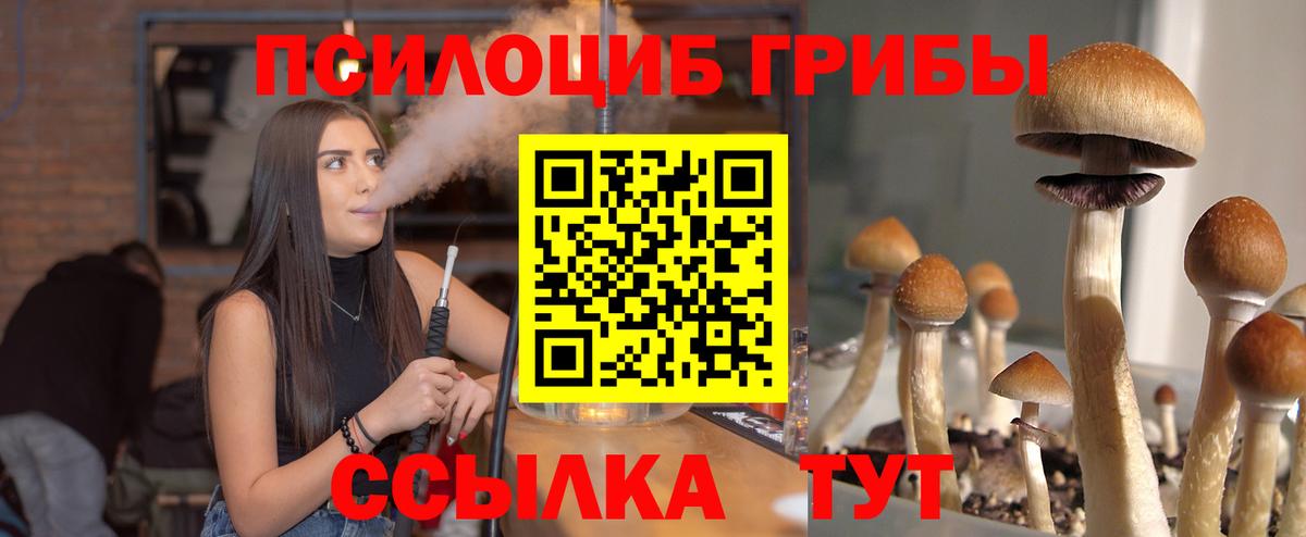 Феодосия  Псилоцибиновые грибы Magic Shrooms  Галлюциногенные грибы GOLDEN TEACHER  Вход с VPN 